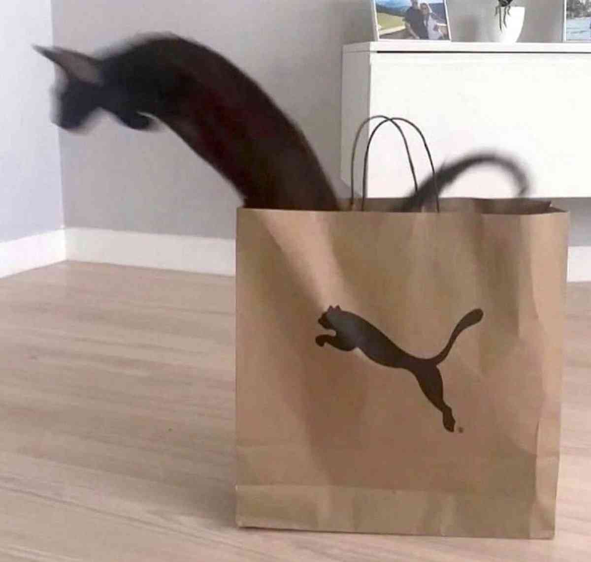 【画像】奇跡の一枚を貼るトピ
