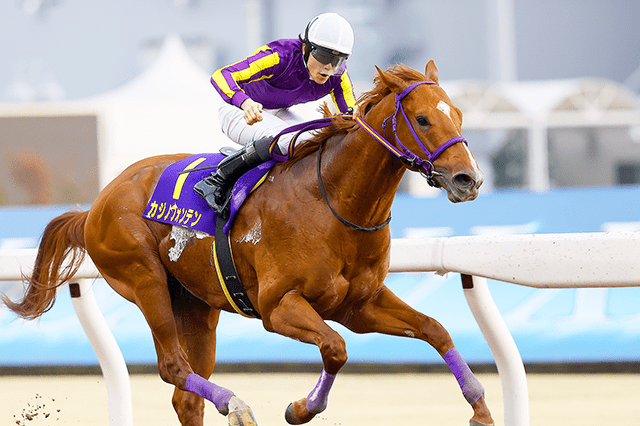 馬を見るために競馬場へ行ってる人！！！