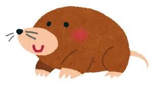 リアルで見たこと無いもの、こと