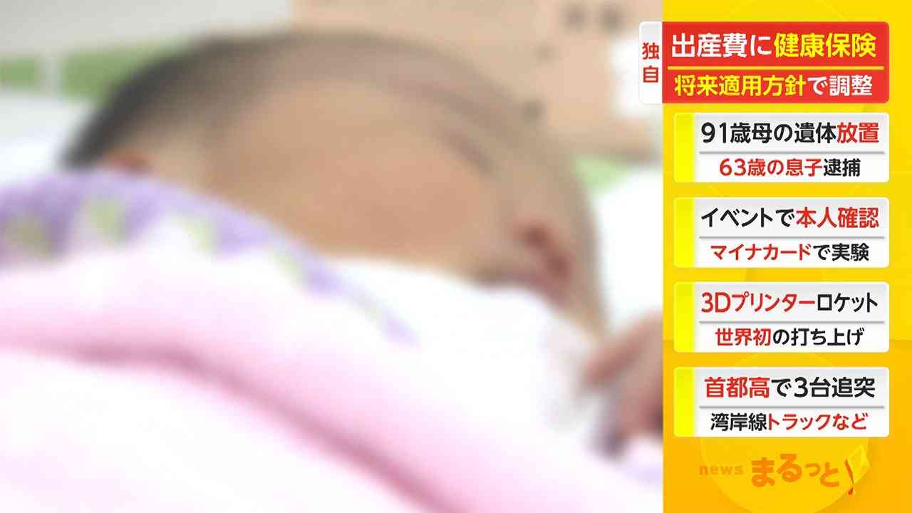 出産費に健康保険　将来適用方針で調整
