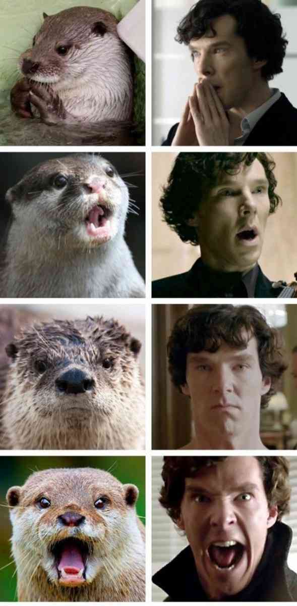 似てる画像選手権