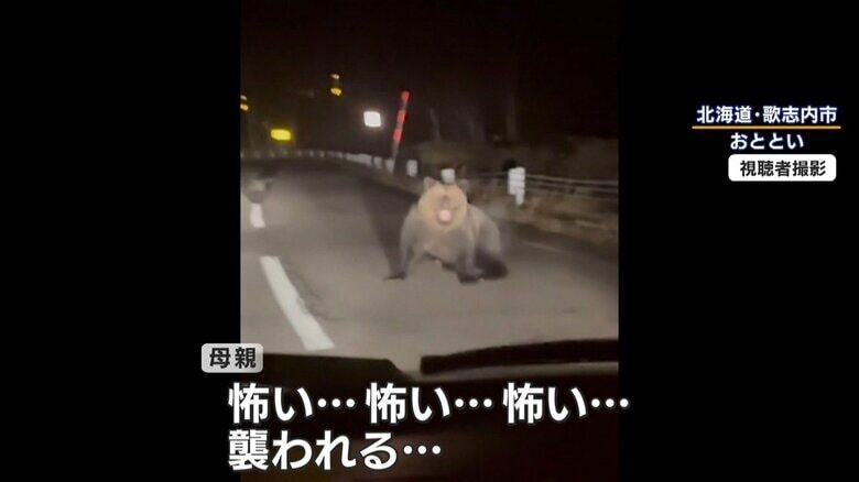【不安】札幌市中心部でクマ目撃　繁華街「ススキノ」周辺でも…住宅街で“クマの足跡”　公園は全面閉鎖・見回りに猟友会も