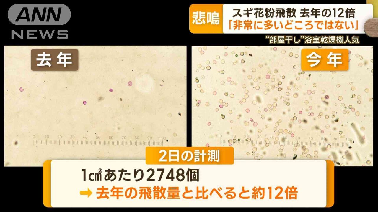 【花粉】“10年に一度レベル”大量飛散…量は去年の12倍「非常に多いどころではない」
