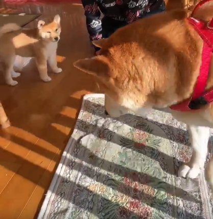 彼氏の親が原因で別れたい