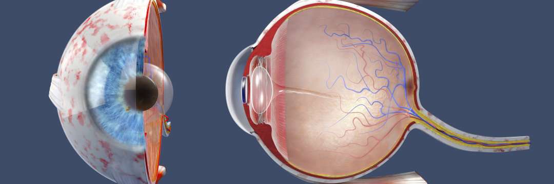 「そのスマホであなたは失明する」【眼球変形、網膜剥離、緑内障】思わぬ重大リスクが次々と…《注意》