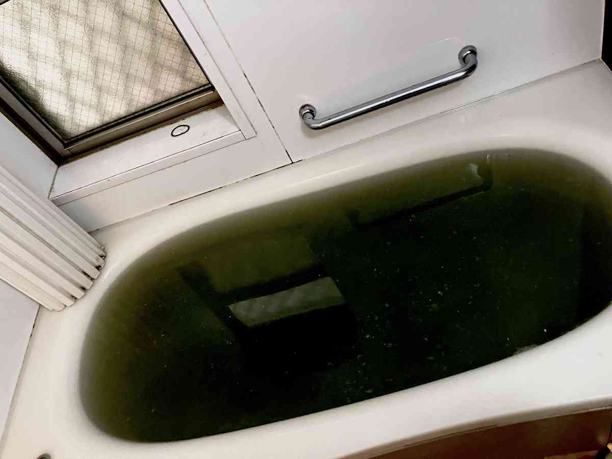 【画像】「久しぶりに実家帰ったら絶対マコモ湯で絶望」投稿が話題　「お湯に入ってみました！」体調の変化は