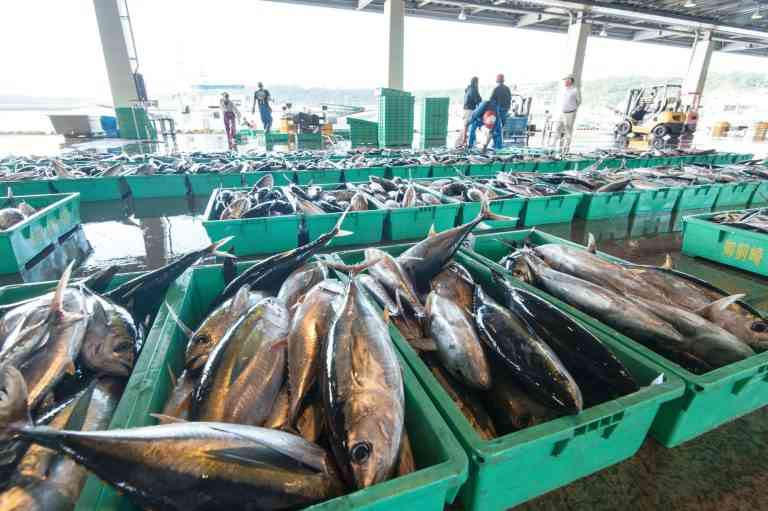 日本のサカナが「もう売れない」理由。イメージ低下で“北海道産ウニ”までも安売り対象に