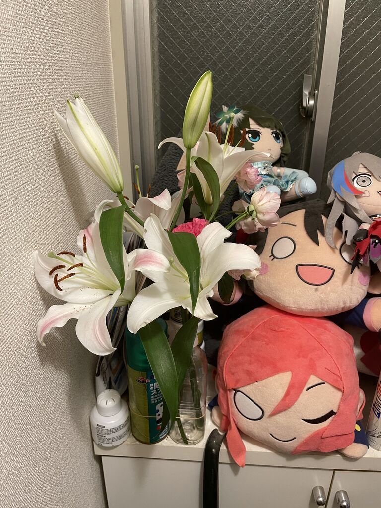 組合で貰った花が咲いた ポコポコ日記