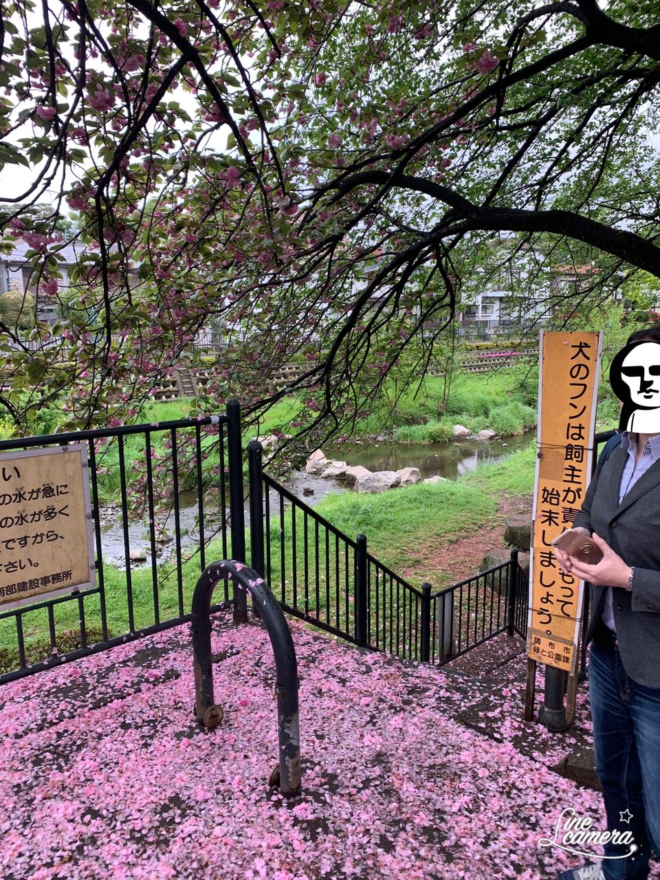 朝散歩と久しぶりに朝ココス ポコポコ日記