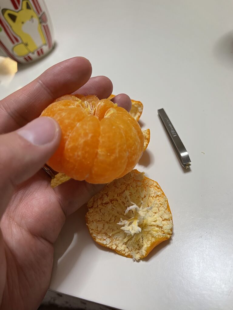 みかんの白いところ取っていきます ポコポコ日記