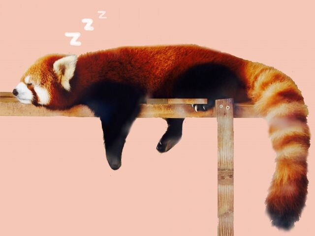 ダラダラしてる って英語で言える 英語de女子会 大人になってからでも遅くない 目指せ英語ペラペラ女子 毎週金曜日更新