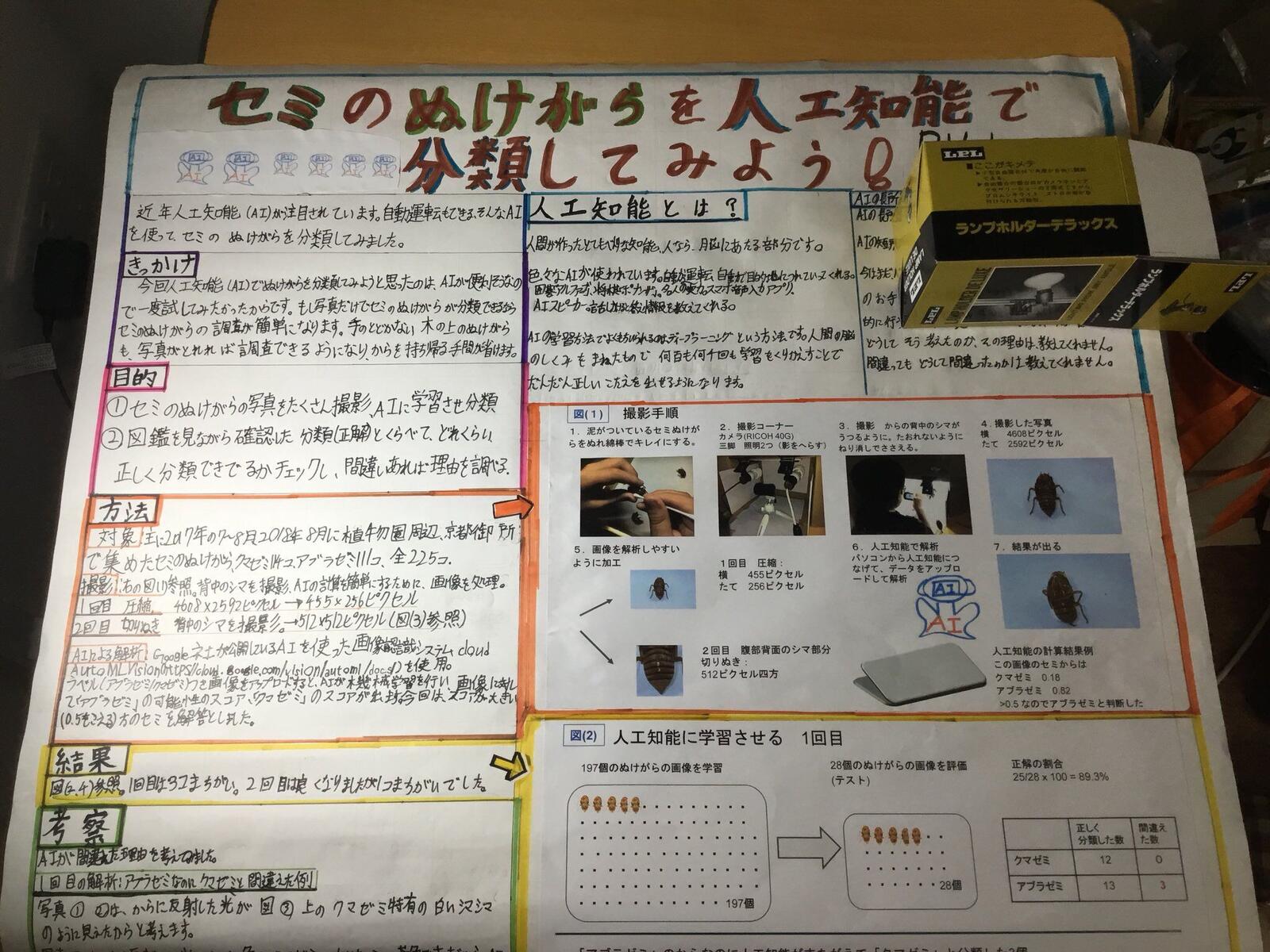 ユニーク セミ の 自由 研究