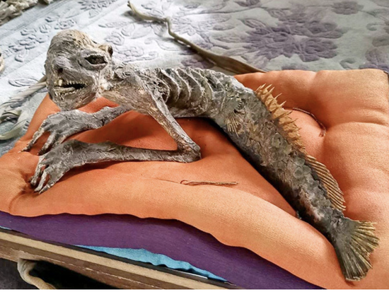 【画像】本物の河童のミイラ見つかるｗｗｗ