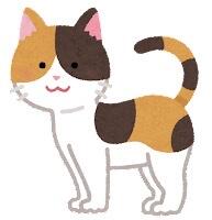 【画像】もちまる日記さん、一線を越える・・・