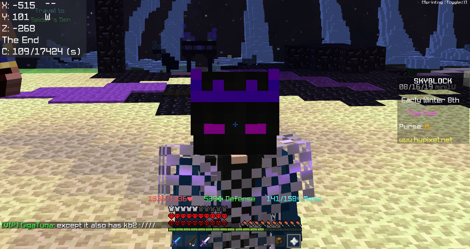 Skyblock攻略３８ 目指せ時給10万g 上層エンダー狩り Hypixel Skyblockの歩き方