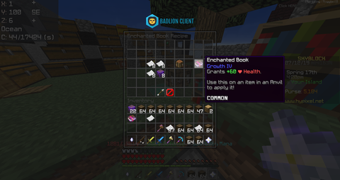 Skyblock装備情報3 Hpが増加する必須エンチャ Growthv Hypixel Skyblockの歩き方 Skyblock装備情報3 Hpが増加する必須エンチャ Growthv Hypixel Skyblockの歩き方