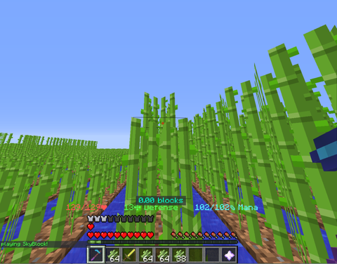 Hypixel Skyblockの歩き方