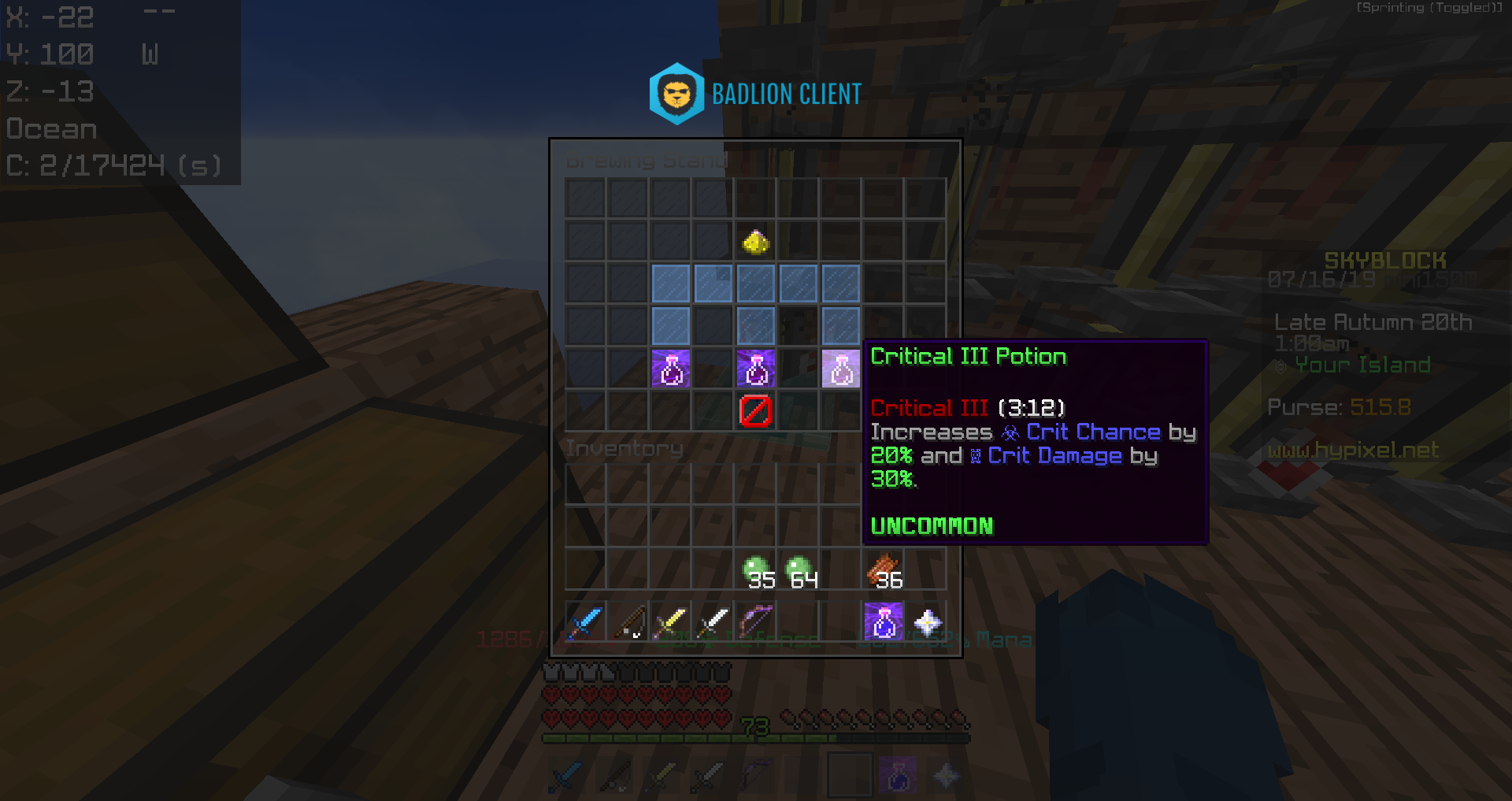Skyblockアイテム情報４２ オススメの火力ポーション第二段 Hypixel Skyblockの歩き方