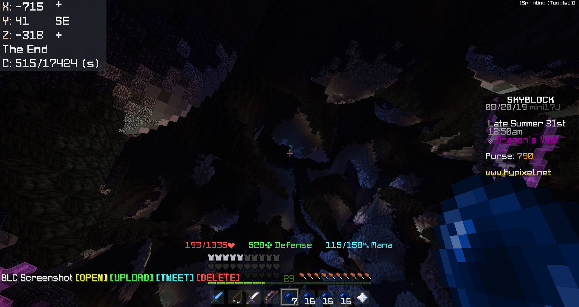 初心者向け Hypixel Skyblockの歩き方 初心者向け Hypixel Skyblockの歩き方
