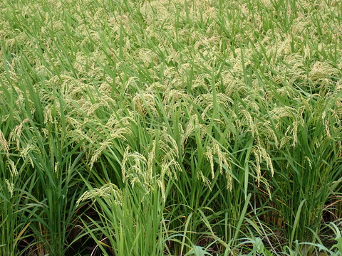 P8300210