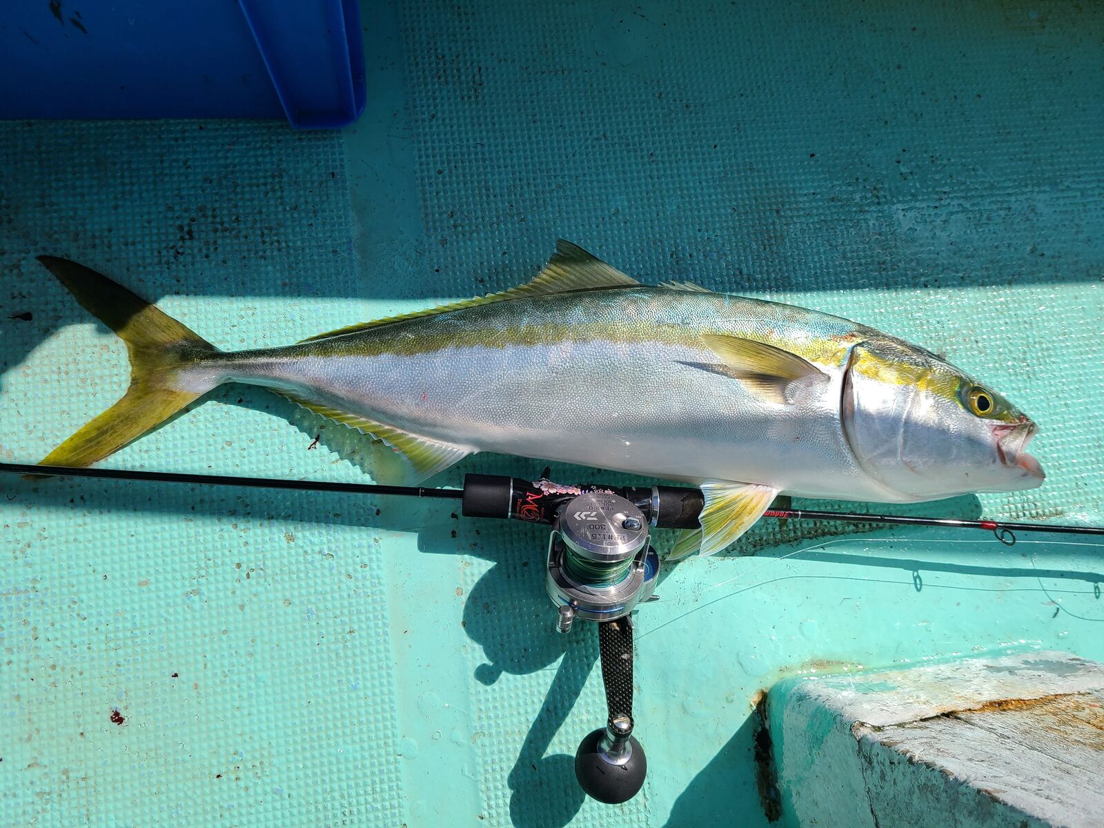 明石ジギング 1回戦 疑似餌オタク海神探検記 明石ジギング 1回戦 疑似餌オタク海神探検記