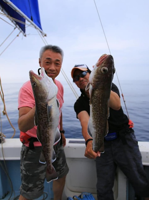 65532459_1064800250396464_2857508576014893056_n