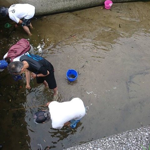 67262632_1593082644155477_3754957776518905856_n