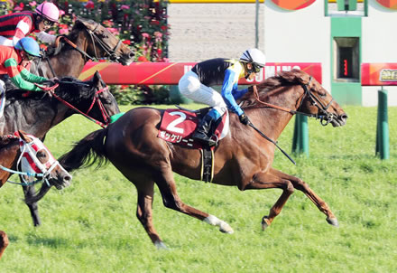 ボッケリーニ引退 イーストスタッドへ種牡馬入り