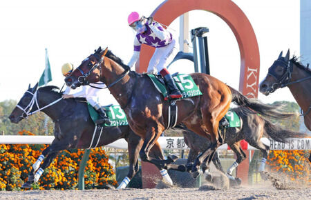 【競馬予想】第38回マイルチャンピオンシップ南部杯(Jpn1/盛岡) /2025
