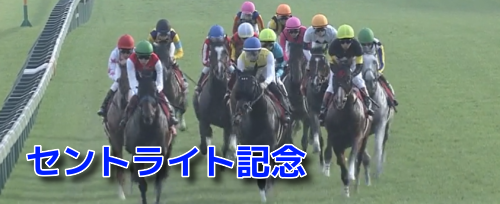 中山芝2200mの傾向とセントライト記念登録馬の中山芝実績