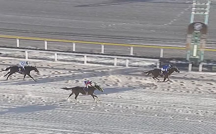 【JBCレディスクラシック】伏兵アンモシエラが連覇達成!オーサムリザルトは3着