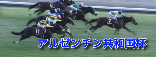 アルゼンチン共和国杯(2023)データ分析!前走2500m以上だった馬で??は(0-0-0-37)