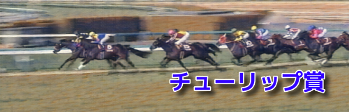 チューリップ賞(2023)データ分析！前走1勝クラス/新馬/未勝利で？？は(0-0-0-25)