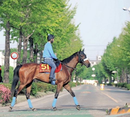 【オークス】 怪物アーモンドアイVS元怪物ラッキーライラック