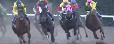 12月31日[高確馬(地方Ver)]大井競馬(8Rおおとり賞,10R東京2歳優駿牝馬,11R)