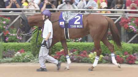【高松宮記念】トウシンマカオ、せっかくの中京良馬場も活かせず