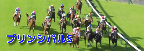 プリンシパルステークス(2023)データ分析！前走1勝クラスで？？は連対なし。