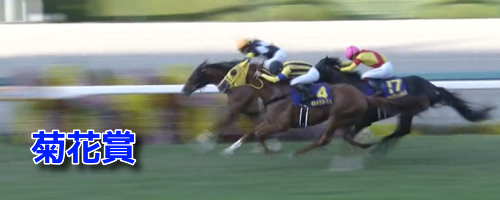 菊花賞データ(1)＆MRランクベスト5・重/不良適性ランク