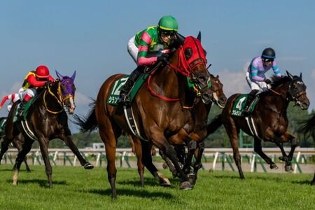 シランケドは横山武史と初コンビで天皇賞･秋