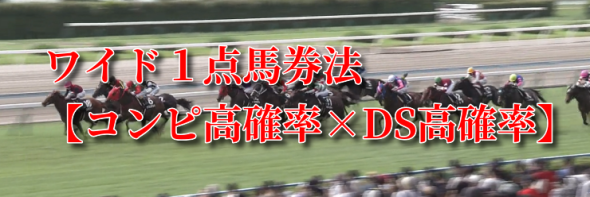 先週は1戦1勝回収270.0％!!《20名様追加募集》ワイド１点馬券法【コンピ高確率×DS高確率】特典付