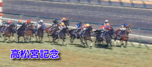 中京芝1200mの傾向と高松宮記念登録馬の中京芝実績