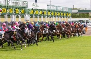 【競馬】　今年の2歳馬に100%いる馬名