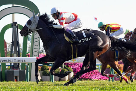 【競馬予想】[2]第31回シルクロードステークス(GⅢ) /2026