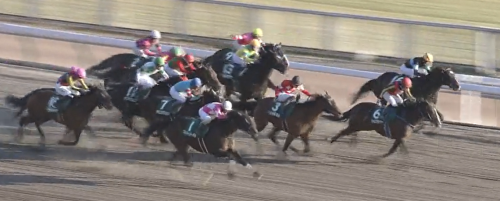 90％＆80％3着内に来る馬と根岸Sタガノビューティー,シルクロードSカレンモエの勝つ確率/3着内に来る確率