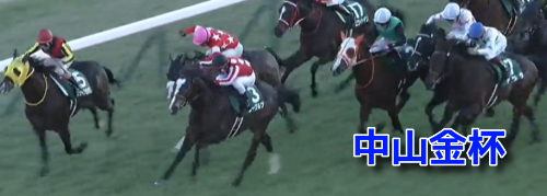 中山金杯データ(1)＆MRランクベスト5・重/不良適性ランク