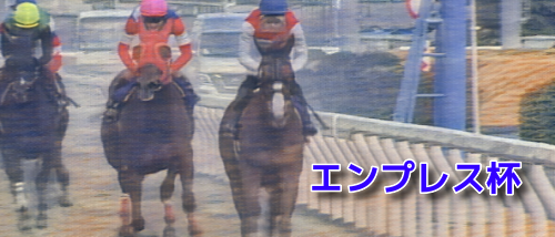 エンプレス杯(2023)過去10年の傾向　人気・配当・年齢・所属・枠・馬番データ