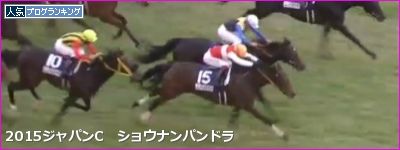 東京芝2400mの傾向と第36回ジャパンカップ登録馬の東京芝実績