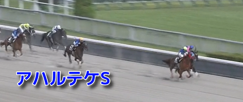 【アハルテケS 2023】過去10年の傾向＆データ消去法