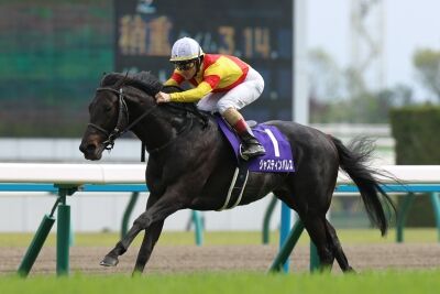 【競馬】　ジャスティンパレス、天皇賞秋は横山武騎手と新コンビ