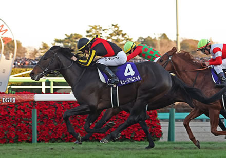 年度代表馬はミュージアムマイル確定なの？